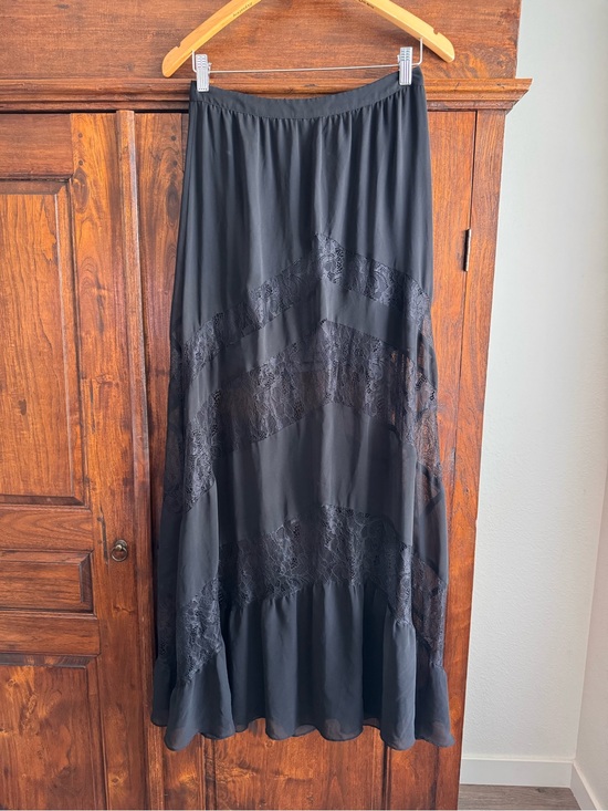 Express Dresses & Skirts - Express Black Lace Insert Sheer Maxi Skirt